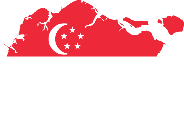 Best VPN Proxy for singapore | SandVPN